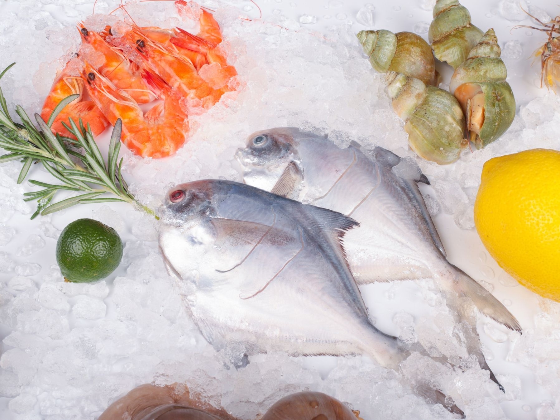 Fresh Seafood range