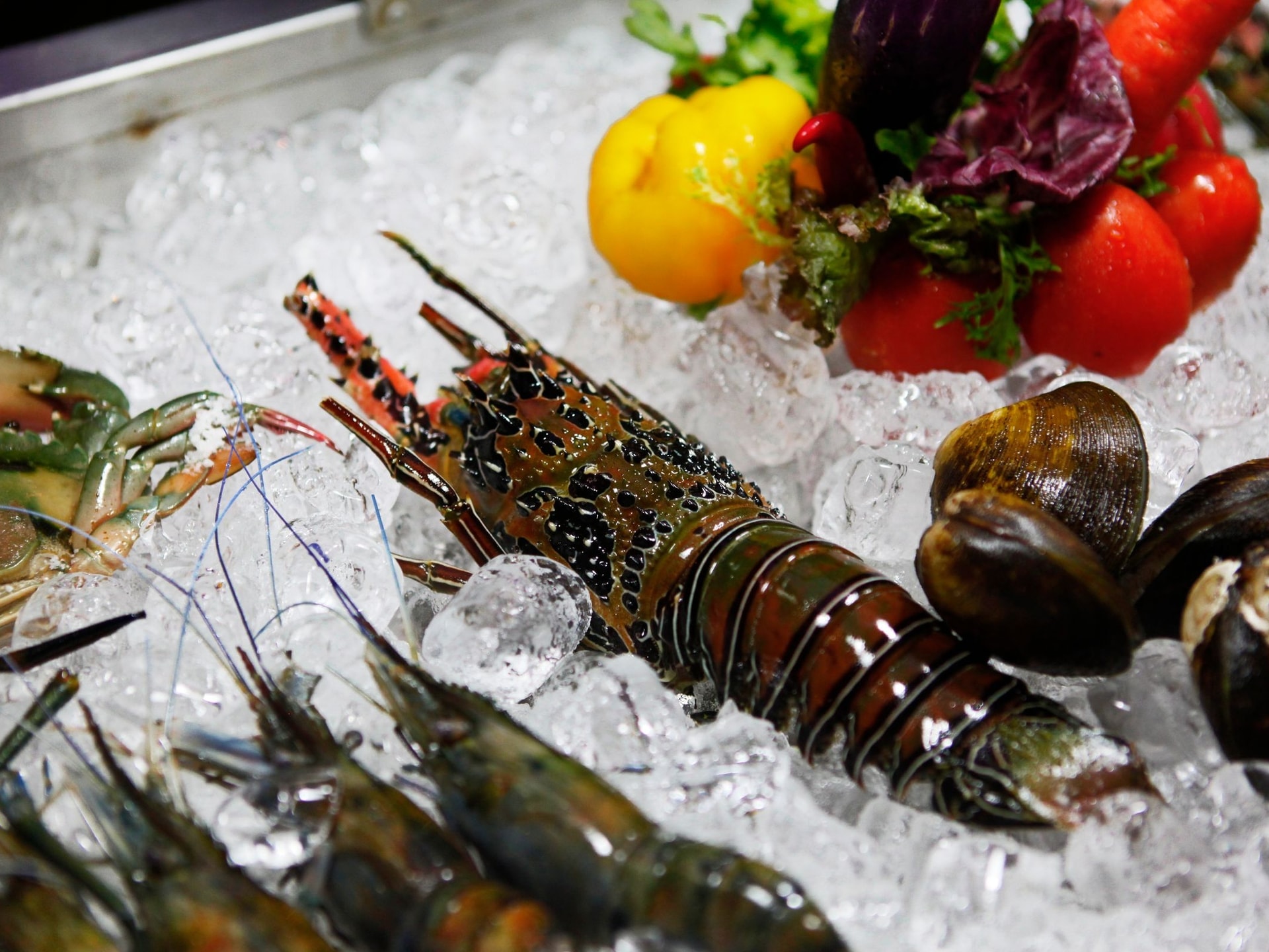 Frozen Seafood range