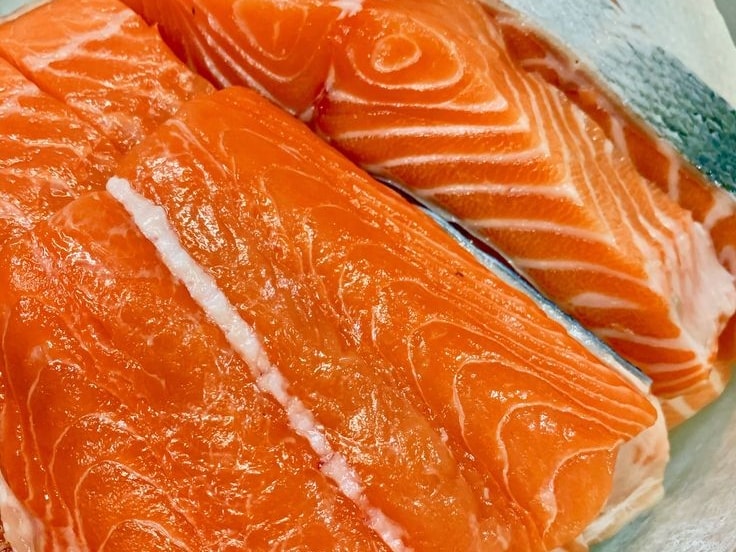 Fresh Salmon Fish