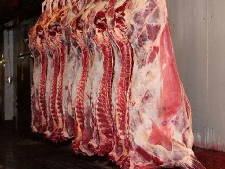 Frozen Halal Buffalo Meat